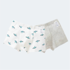 Boys Underwear & Socks