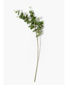 Eucalyptus Single Stem-Green-One Size