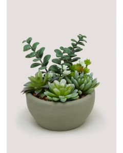 Succulents in Round Cement Bowl (8cm x 12cm)