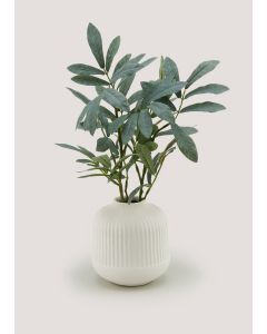 Olive Branch in Cream Ribbed Vase (38cm x 9cm)