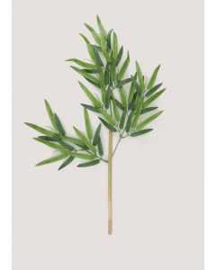 Bamboo Single Stem (68cm)