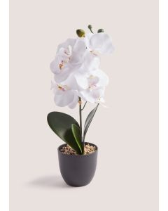 Mini Orchid Plastic Pot (38cm)