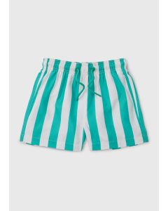 Boys Aqua Stripe Swim Shorts