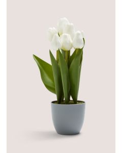 Tulips in Grey Pot-Grey-One Size