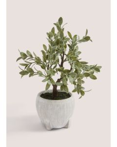 Bonsai Tree in White Pot-White-One Size