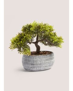 Loft Bonsai Tree (28cm x 31cm x 18cm)-Green