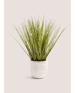 Cement Pot With Grass Grey-White-One Size