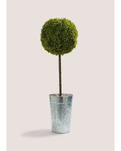 Ball Topiary in Galvanised Pot (30cm x 30cm x 90cm)-Natural