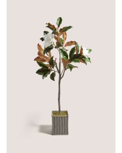 Magnolia Tree (120cm x 40cm x 40cm)-Grey