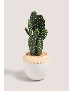 Cactus Plant (50cm x 22cm x 18cm)-Natural