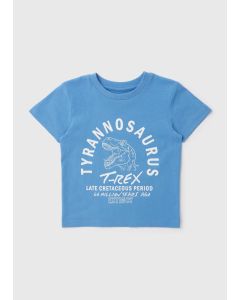 Boys T Rex T-Shirt