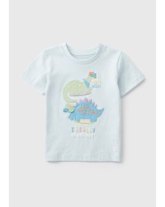 Boys Dino Picnic T-Shirt