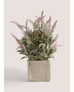 Lavender In Woven Pot White-White-One Size