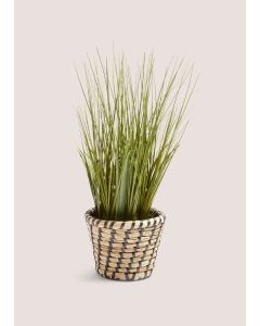 Faux Plant in Casa Woven Pot (40cm x 30cm x 30cm)-Natural-One Size