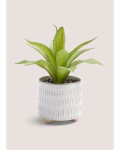 Faux Plant In White Footed Pot (23cm x 21cm x 21cm)-White