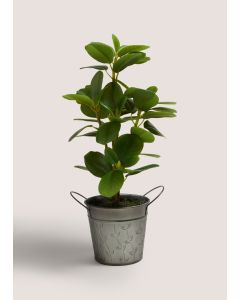 Leafy Plant in Pot Green-Green-One Size