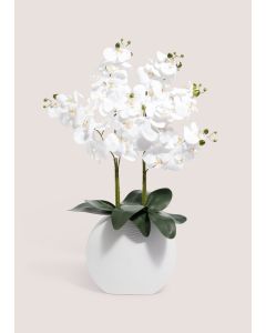 Orchid In Pot (33cm x 18cm x 88cm)-White