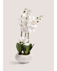 Orchid In Resin Shell Pot  (41cm x 31cm x 70cm-Natural