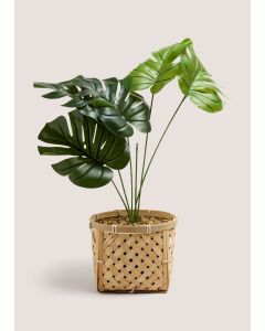 Cheese Plant Bamboo Pot (50cm x 45cmx 45cm)-Natural