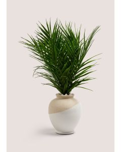 Palm In Dual Tone Urn Pot (16cm x 19cm)-Natural