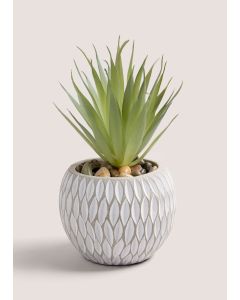 Succulent in Cement Pot Grey-Grey-One Size