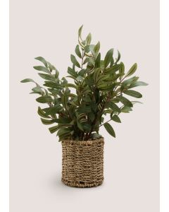 Tree in Woven Pot (20cmx20cmx45cm)-Natural-One Size