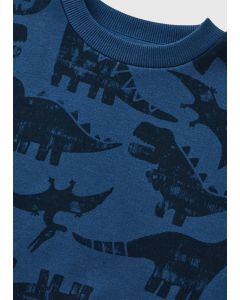 Boys Dino Sweatshirt