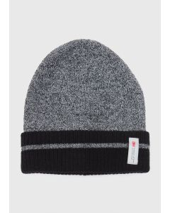 Thinsulate Stripe Beanie