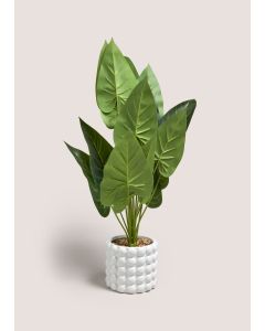 Bobble Plant (65cm x 40cm x 40cm)-White