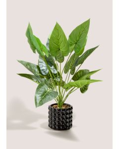 Bobble Pot & Plant (65X40X40Cm)-Black