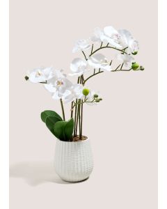 Orchid In Ribbed Pot-White-One Size