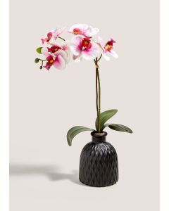 Orchid In Pot-Pink-One Size