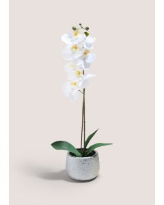 Orchid In Silver Pot-White-One Size