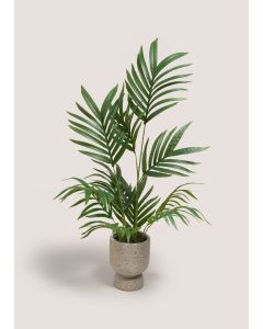 Palm Plant in  Pot-Green-One Size