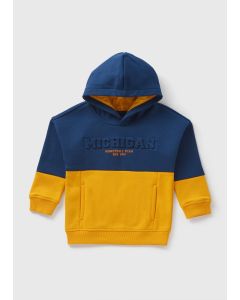 Boys Michigan Hoodie