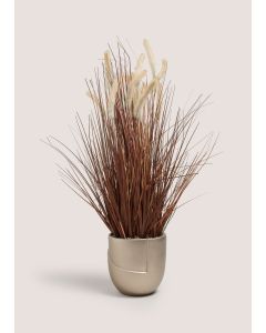 Grass Plant (44cm x 24cm x 83cm)-Brown