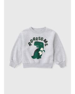 Boys Dino Sweatshirt