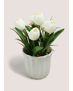 Tulip In Scallop Vase-White-One Size