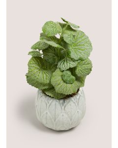 Herb In Artichoke Pot-Grey-One Size