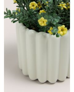 Ditsy Flowers In Ribbed Pot-White-One Size