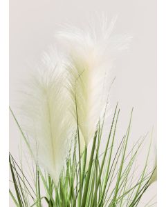 Pampas In Ribbed Pot-White-One Size