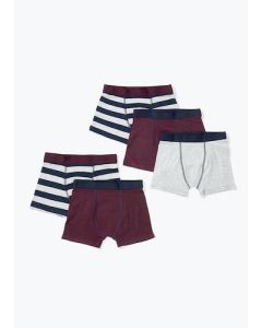 Boys 5 Pack Stripe Trunks