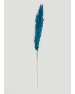 Pampas Grass - Blue - One Size