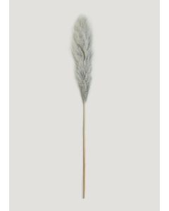 Pampas Grass - Grey - One Size