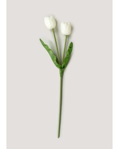 Tulip Single Stem (66cm)