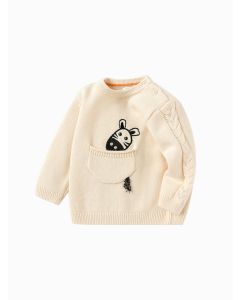 Baby Boy Round neck sweater