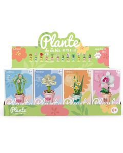 Milk Tea Cup Plant Set-Multi