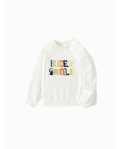 Toddler Boy Round neck sweatshirt