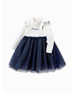 Toddler Girl Fine Academy Knitted Dress