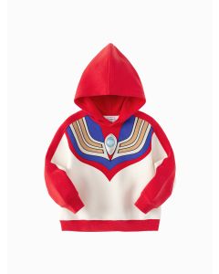 Toddler Boy Hoody